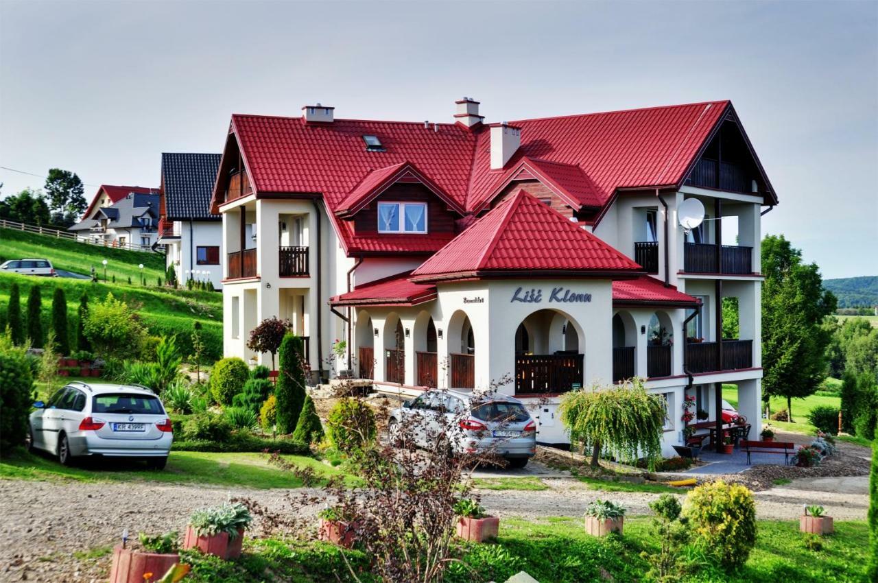Appartement Lisc Klonu à Polańczyk Extérieur photo